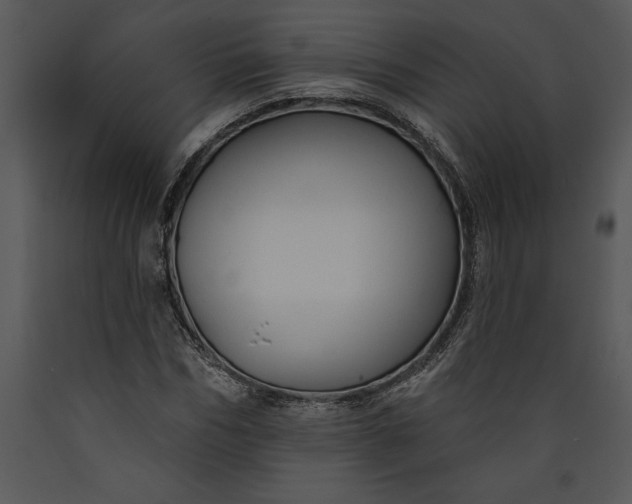 X0000089660970200707191645