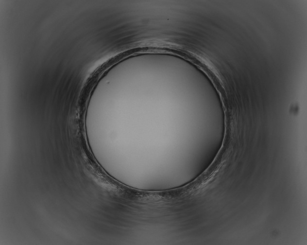 X0000089660971200707191645