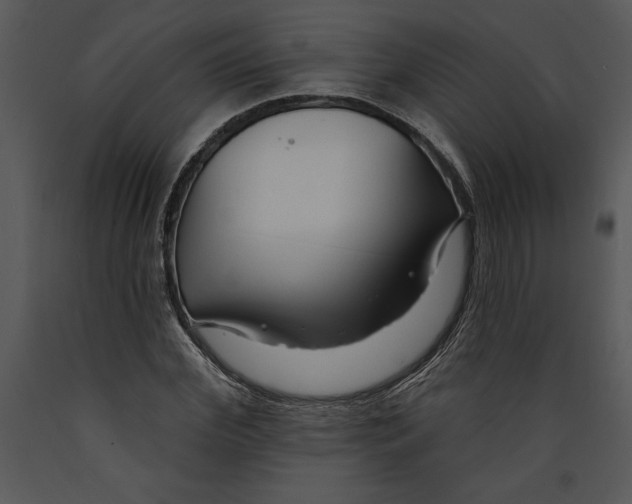 X0000089660972200707191645
