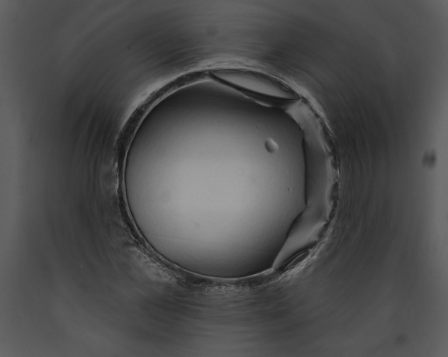 X0000089660973200707191645