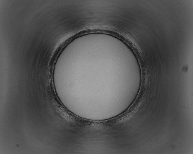 X0000089660974200707191645