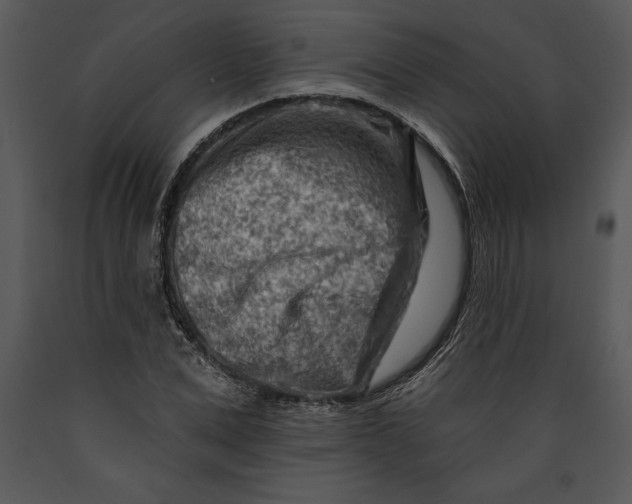 X0000089660975200707191645