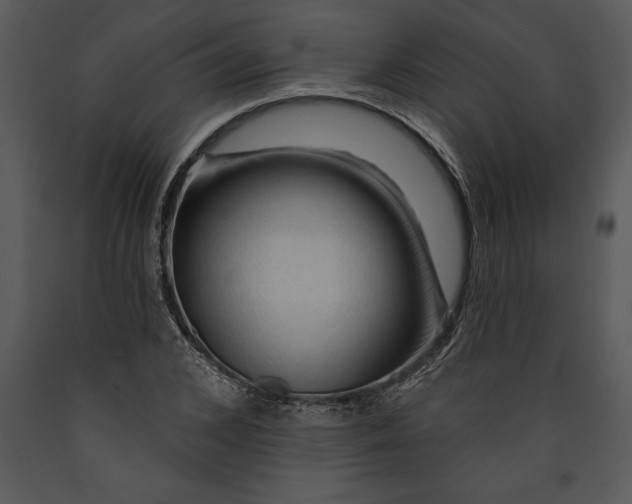 X0000089660976200707191645