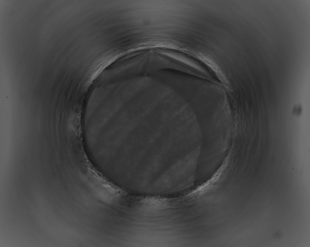 X0000089660977200707191645