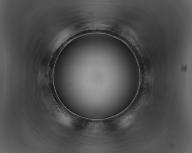 X0000089660978200707191645