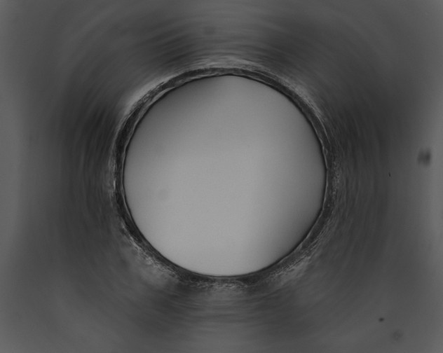 X0000089660979200707191645