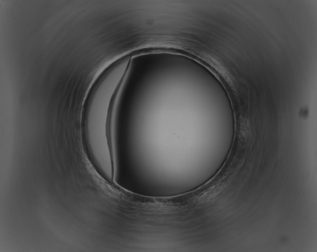 X0000089660980200707191644