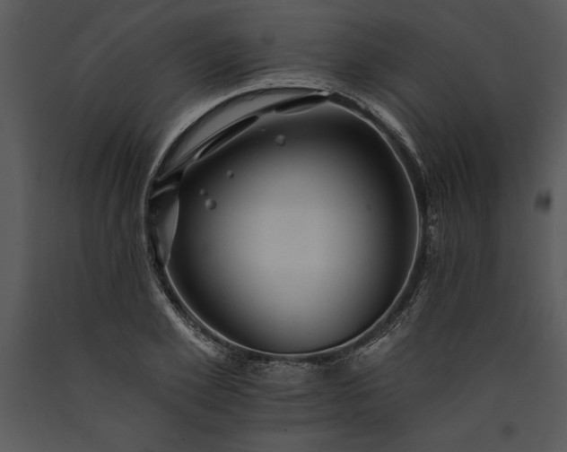 X0000089660981200707191644