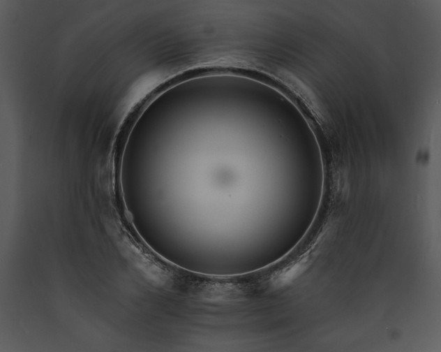 X0000089660982200707191644