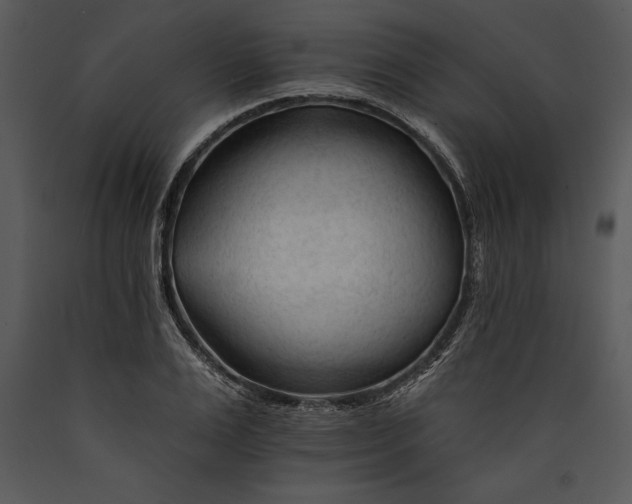 X0000089660983200707191644