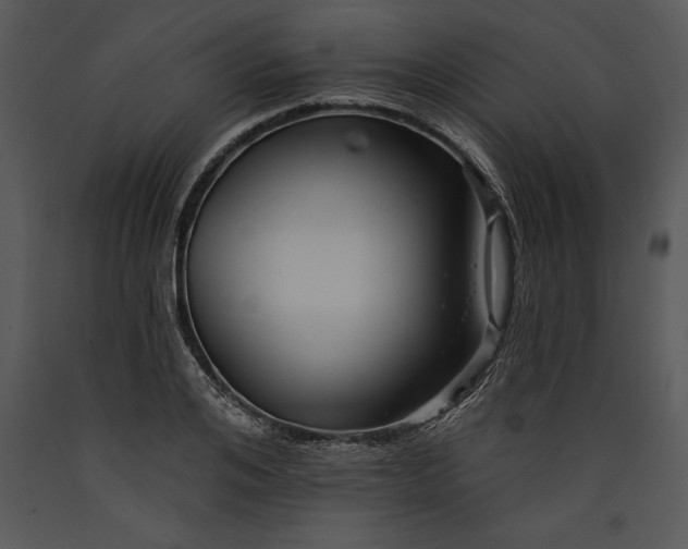 X0000089660984200707191644