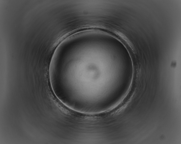 X0000089660985200707191644