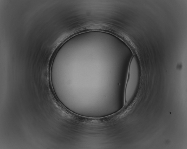 X0000089660986200707191644