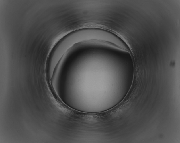 X0000089660987200707191644