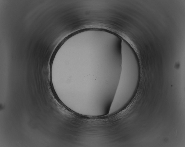 X0000089660988200707191644