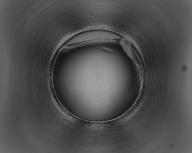 X0000089660989200707191644