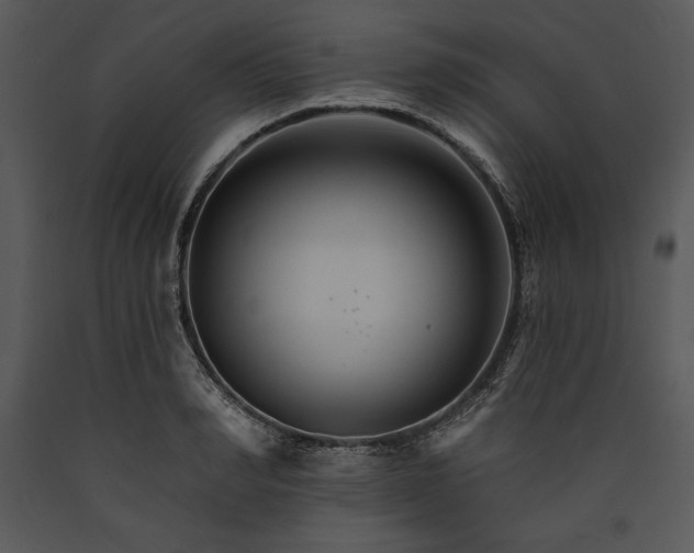 X0000089660990200707191644