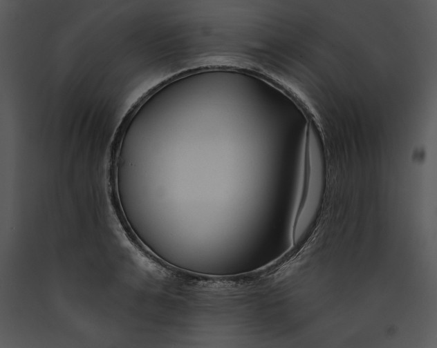X0000089660991200707191644
