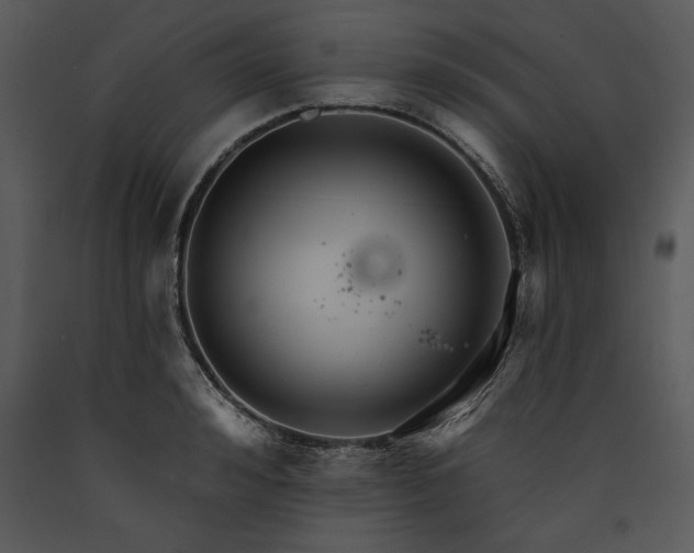 X0000089660992200707191644