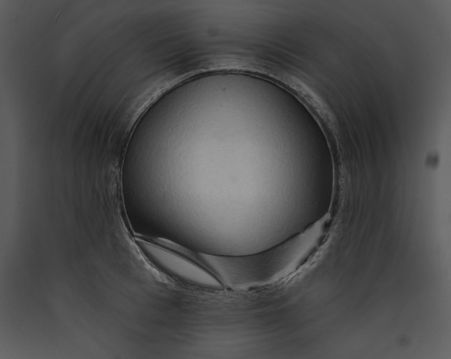 X0000089660993200707191644