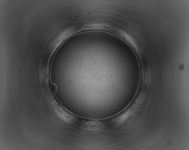 X0000089660994200707191644