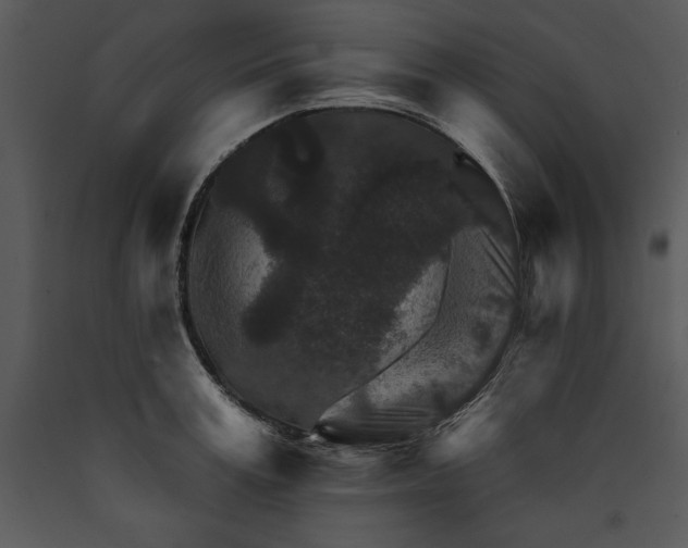 X0000089660995200707191644