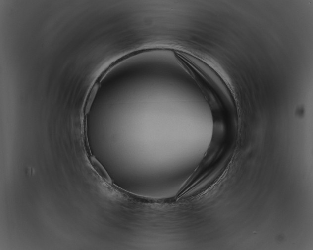 X0000089660996200707191644