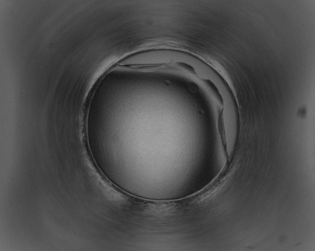 X0000089660997200707191644