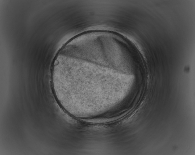 X0000089660998200707191644