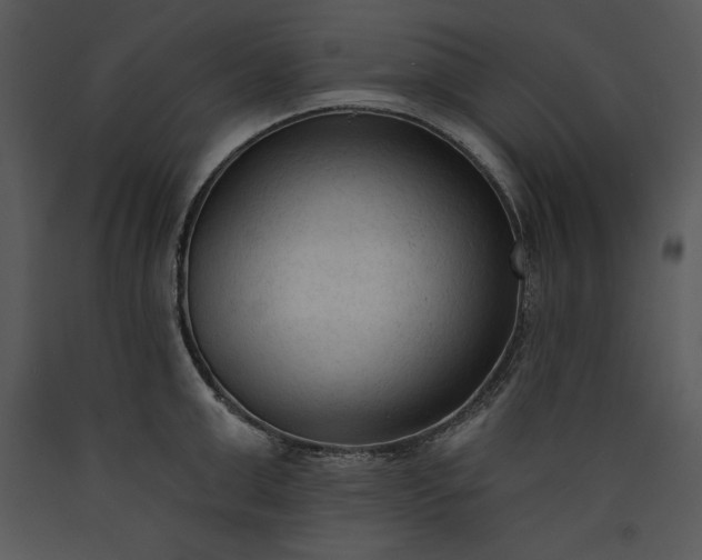 X0000089660999200707191644