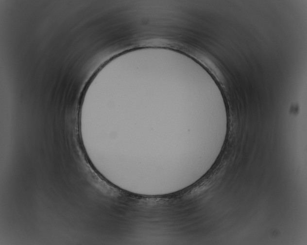 X0000089661000200707191644