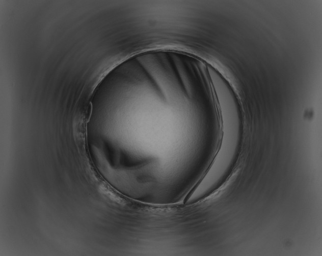 X0000089661001200707191644