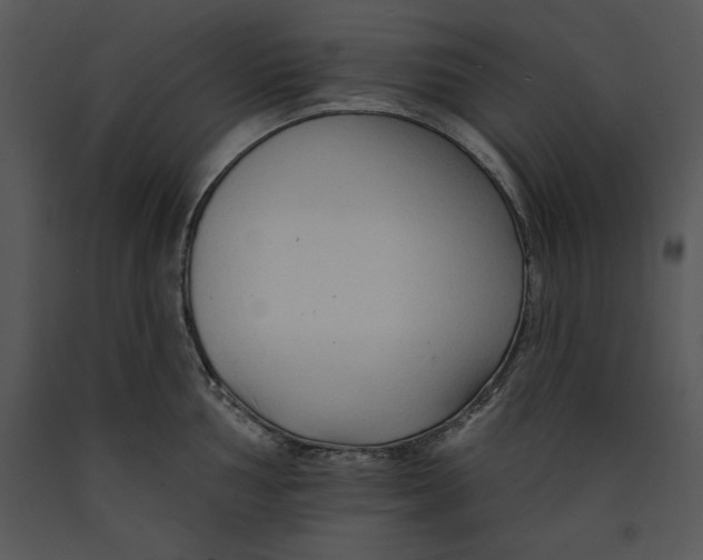 X0000089661002200707191644