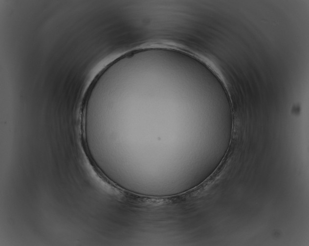 X0000089661003200707191644