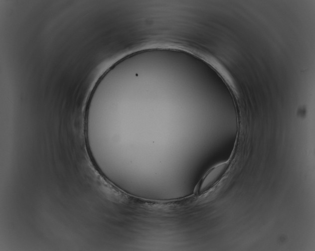 X0000089661004200707191644