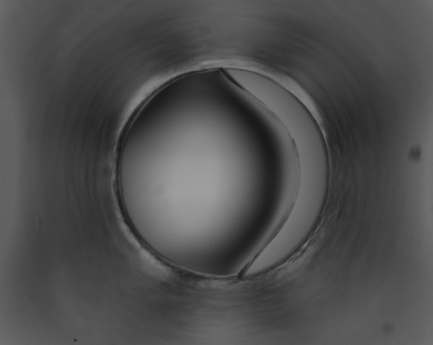 X0000089661005200707191644