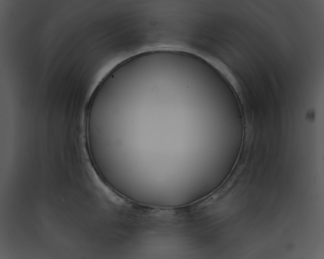 X0000089661006200707191644