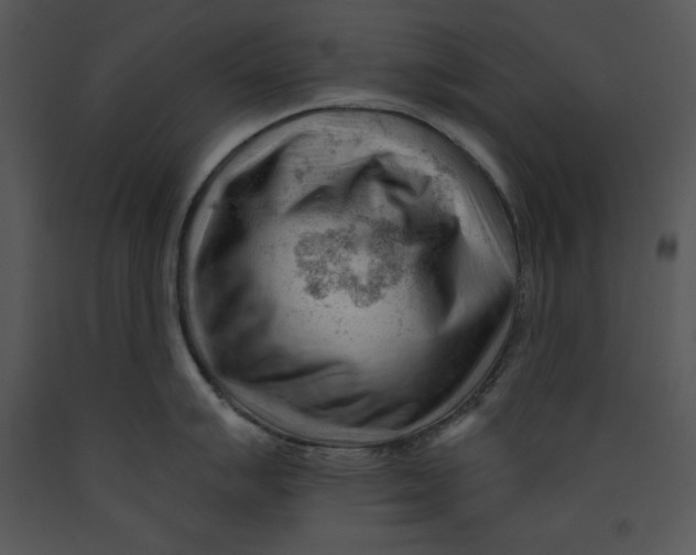 X0000089661007200707191644