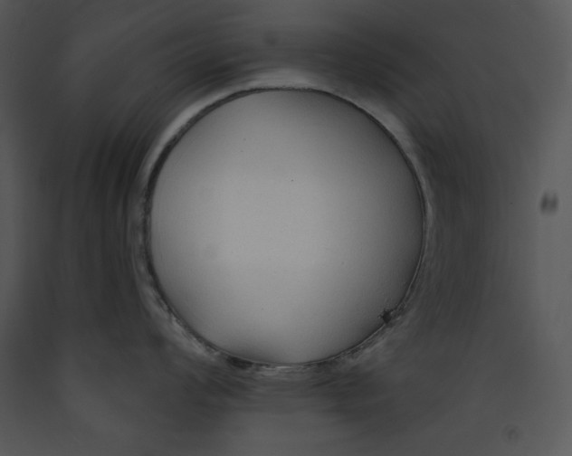 X0000089661008200707191644