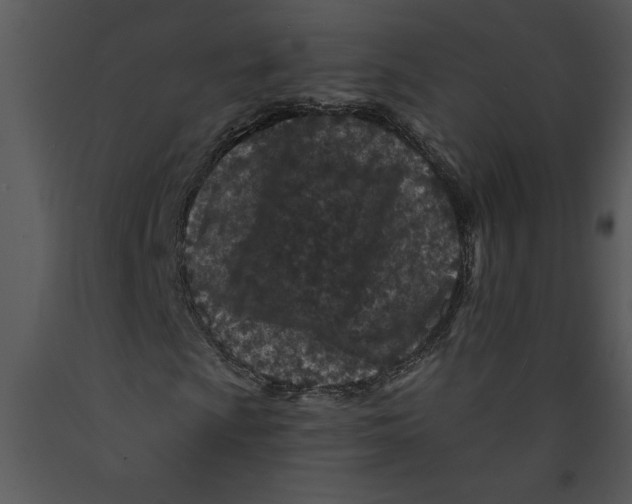 X0000089661009200707191643