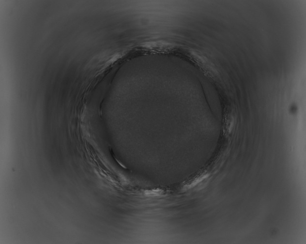 X0000089661010200707191643