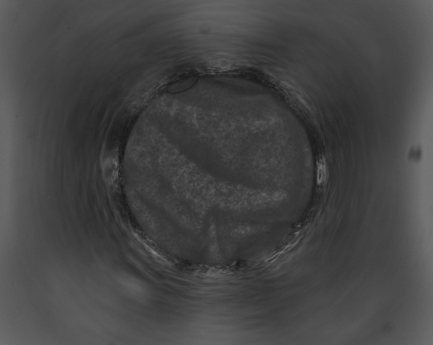 X0000089661011200707191643