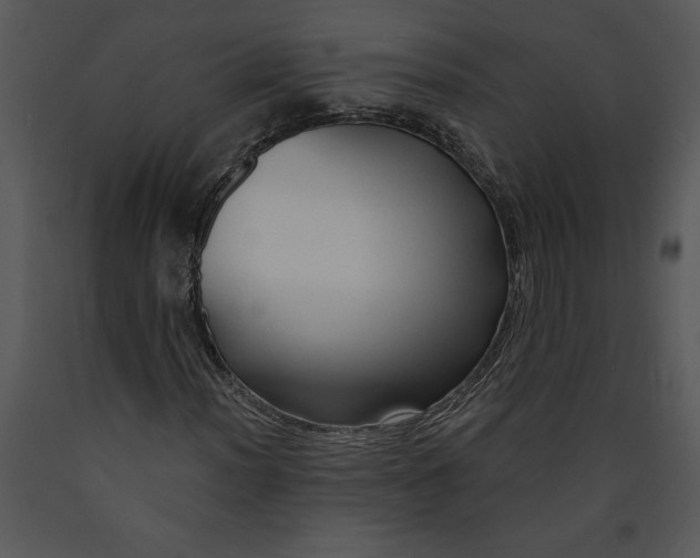 X0000089661012200707191643