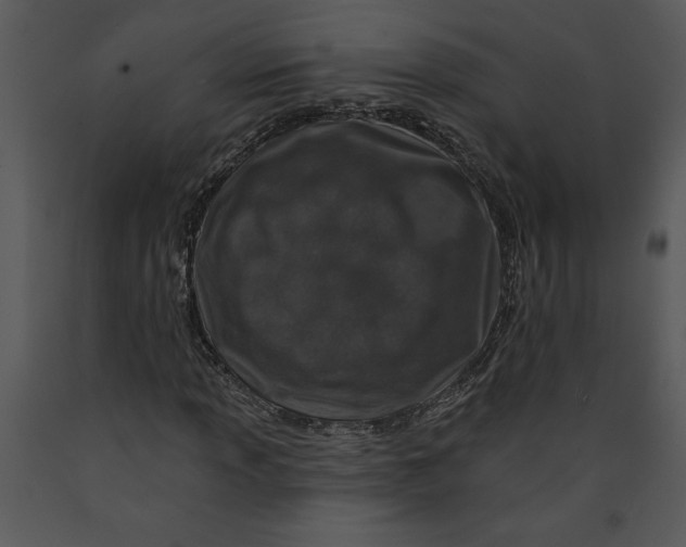 X0000089661013200707191643