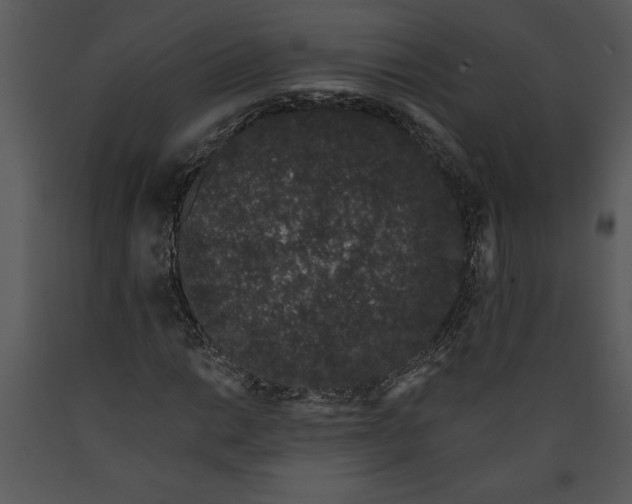 X0000089661014200707191643