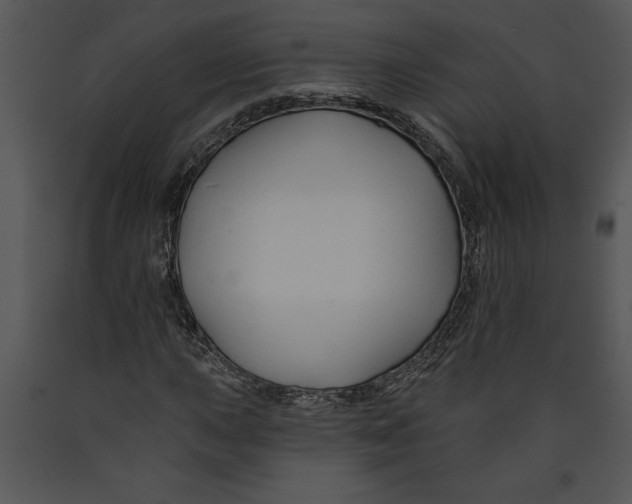 X0000089661015200707191643