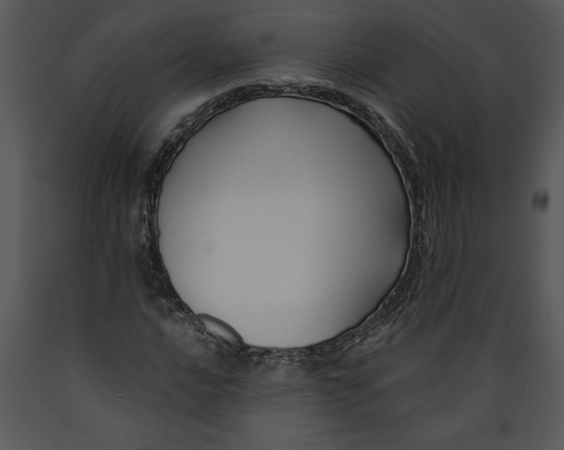 X0000089661016200707191643