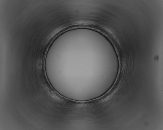 X0000089661017200707191643