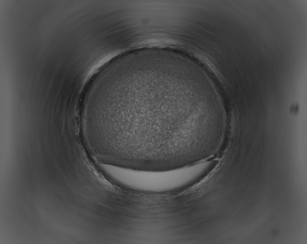 X0000089661018200707191643