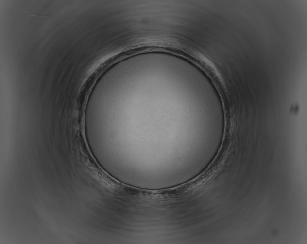 X0000089661019200707191643